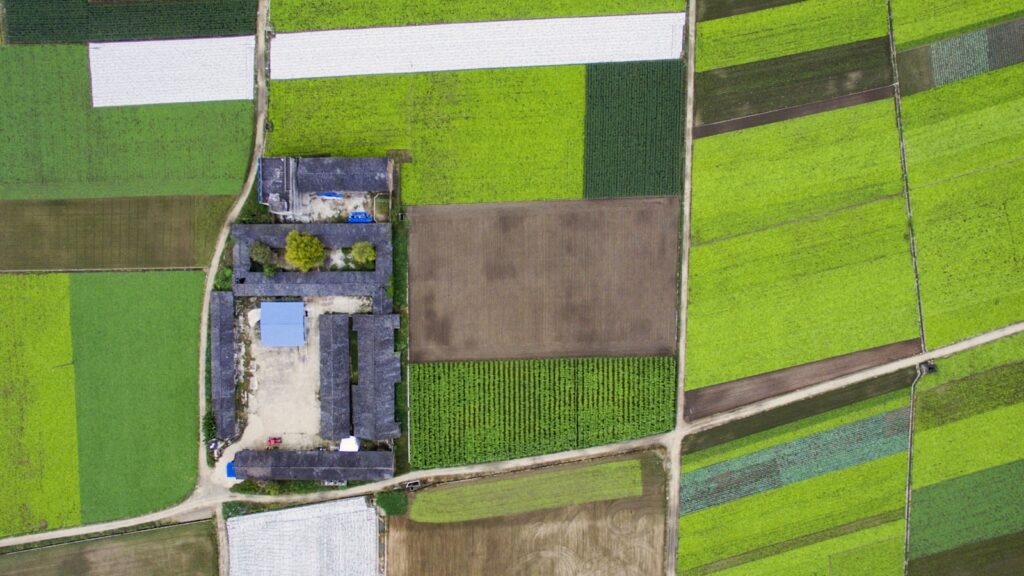 Aerial view of green agricultural fields and village plots in Pindra, Varanasi