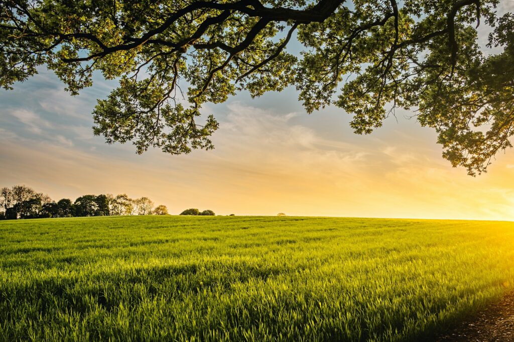 Open residential plot land with clear boundary in Pindra Varanasi, ideal for home construction